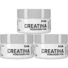 Kit 3X Creatina Monohidratada - 100g Sem Sabor - Dux Nutrition Kit 3X Creatina Monohidratada - 100g Sem Sabor - Dux Nutrition