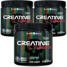 Kit 3X Creatina Monohidratada Creatine Turbo Black Skull 150g Energia Força Ganho de Massa Muscular Kit 3X Creatina Monohidratada Creatine Turbo Black Skull 150g Energia Força Ganho de Massa Muscular