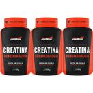 Kit 3X Creatina Monohydrate - 120 Cápsulas - New Millen Kit 3X Creatina Monohydrate - 120 Cápsulas - New Millen