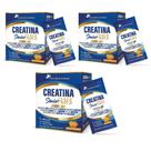 Kit 3x Creatina Sênior Fases + Associações Tangerina 3x20 sachês 200 gramas cada Flora Nativa Sabor:Tangerina