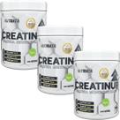 Kit 3X Creatina Up Monohidratada Vegano - 100g Natural - Nutrata