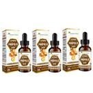 Kit 3x Extrato de Própolis (40% EXT) Marrom 30ML Flora Nativa do Brasil