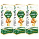 KIT 3X Extrato de Própolis Verde em Gotas 30ml - Flora Nativa