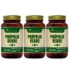 Kit 3x Extrato Seco Própolis Verde 60 Capsulas 500mg