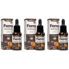 Kit 3x Ferro Com Vitamina C Sabor Laranja 30ml - Melfort