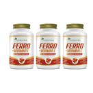 Kit 3x Ferro + Vitamina C 500mg 3x60 cápsulas Flora Nativa Sabor:Sem sabor Kit 3x Ferro + Vitamina C 500mg 3x60 cápsulas Flora Nativa Sabor:Sem sabor