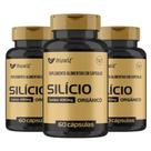 Kit 3x Frascos Silício Orgânico Muwiz 490MG 60 Cápsulas Fortalecimento, Crescimento e Firmeza do Cabelo, Pele e Unhas