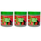 Kit 3x Gelatina Hidratação Definição De Cachos E Volume Melancia 500g Naxos