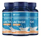 Kit 3x Lactáse 400mg por cápsula 60 cápsulas Muwiz