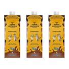 Kit 3X: Leite Vegetal Choconuts Orgânico A Tal da Castanha 1L