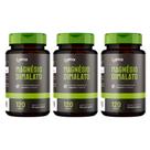 Kit 3x - Magnésio Dimalato - 120 cápsulas - Omix