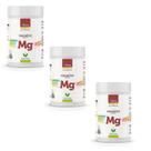 Kit 3x MG Magnésio Quelato 130mg 3x60 cápsulas - Vital Natus