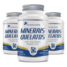 Kit 3x Minerais Quelatos (Cobre, Ferro, Magnésio, Manganês e Zinco) 60 Cápsulas Cada - Flora Nativa
