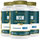 KIT 3X MSM Enxofre Orgânico 500mg 60 cápsulas - Flora Nativa
