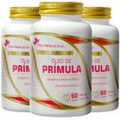 KIT 3X Óleo de Prímula 500mg 60 Cápsulas - Flora Nativa