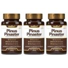 Kit 3x Pinus Pinaster Resveratrol MSM Vitaminas C E K2 60 Caps 500mg Melfort Kit 3x Pinus Pinaster Resveratrol MSM Vitaminas C E K2 60 Caps 500mg Melfort