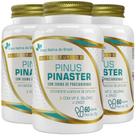 KIT 3X Pinus Pinaster + Vitamina E, Selênio e Zinco 60 cápsulas - Flora Nativa