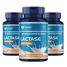 Kit 3x Potes Encapsulado Lactase Enzimas Muwiz 400mg 60 Cápsulas Probióticos, Carvão Ativado, Glutamina
