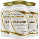 KIT 3X Psyllium 60 Cápsulas - Flora Nativa