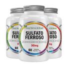 Kit 3x Sulfato Ferroso 30mg 60 Capsulas Flora Nativa do Brasil