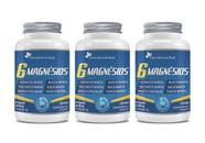 Kit 3x Suplemento Alimentar 6 Magnésios 600mg 60 cápsulas Flora Nativa