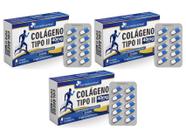 Kit 3x Suplemento Alimentar Colágeno Tipo 2 40mg 30 cápsulas Flora Nativa