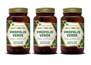 Kit 3x Suplemento Alimentar Propolis Verde Extrato Puro 60 cápsulas Flora Nativa