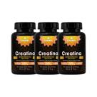 Kit 3x Suplemento Creatina 500mg 120 Cápsulas - CHAMEL