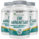 KIT 3X Tri Magnésio Taurato, Malato e Bisglicinato 60 caps- Flora Nativa