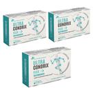Kit 3x Ultra Condtrox Flex Colágeno Tipo II 3x60 cps Flora Nativa Sabor:Sem sabor