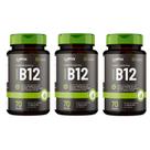 Kit 3x - Vitamina B12 - 70 cápsulas - Omix Kit 3x - Vitamina B12 - 70 cápsulas - Omix