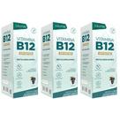 KIT 3X Vitamina B12 Premium (Metilcobalamina) em Gotas 20ml - Lauton Sabor:Uva