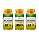 Kit 3x Vitamina B5 Ácido Pantotênico 3x60 cápsulas Unilife