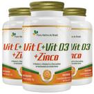 KIT 3X Vitamina C + D3 + Zinco 60 cápsulas - Flora Nativa KIT 3X Vitamina C + D3 + Zinco 60 cápsulas - Flora Nativa
