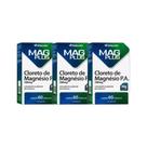 Kit 3x Vitamina Cloreto de Magnésio P.A. 60 cps - HERBAMED Kit 3x Vitamina Cloreto de Magnésio P.A. 60 cps - HERBAMED