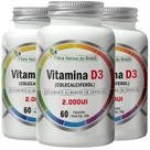 KIT 3X Vitamina D3 2000ui 60 cápsulas - Flora Nativa KIT 3X Vitamina D3 2000ui 60 cápsulas - Flora Nativa