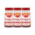 Kit 3x Vitamina K2 500mg 60 Cps - CHAMEL
