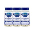 Kit 3x Vitamina Picolinato de Cromo 60 Cps - CHAMEL