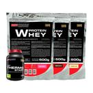 Kit 3X Whey Protein 500G+ Thermo Starter Powder 120G Limão