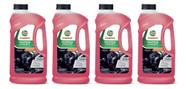 Kit 4 Aditivo De Radiador Castrol Universal Concentrado