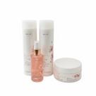 Kit/4 Blonde Oil Ana Paula Siebert Braé Sh+Cond+Masc+Óleo