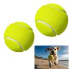 kit 4 Bolinha Pet Borracha Seguro e Durável Não Tóxica Brinquedo