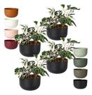 Kit 4 Cachepo Due N6 Cuia 21 Plantas Vasos Raiz 24cm - Cor