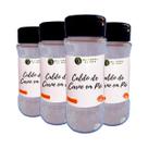 Kit 4 Caldo de Carne em Pó Sabor Autêntico Premium Pote com Dosador 80g