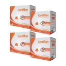 Kit 4 Cartiflan Colágeno Tipo II + Vitaminas 30 Cápsulas