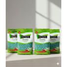Kit 4 Cera Depilatória Depimiel Vegetal Aloe Vera Espanhol 1kg