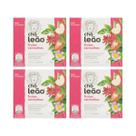 Kit 4 Chá Leão Frutas Vermelhas 10 Sachês 16g
