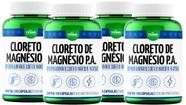Kit 4 Cloreto de Magnésio Pa Vitalab Suplemento 120 Cápsulas