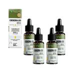 Kit 4 Coenzima Q10 200mg Líquida 4x30ml maracujá Floral Ervas do Brasil