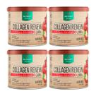 Kit 4 Collagen Renew (Hidrolisado Verisol) Morango 300G